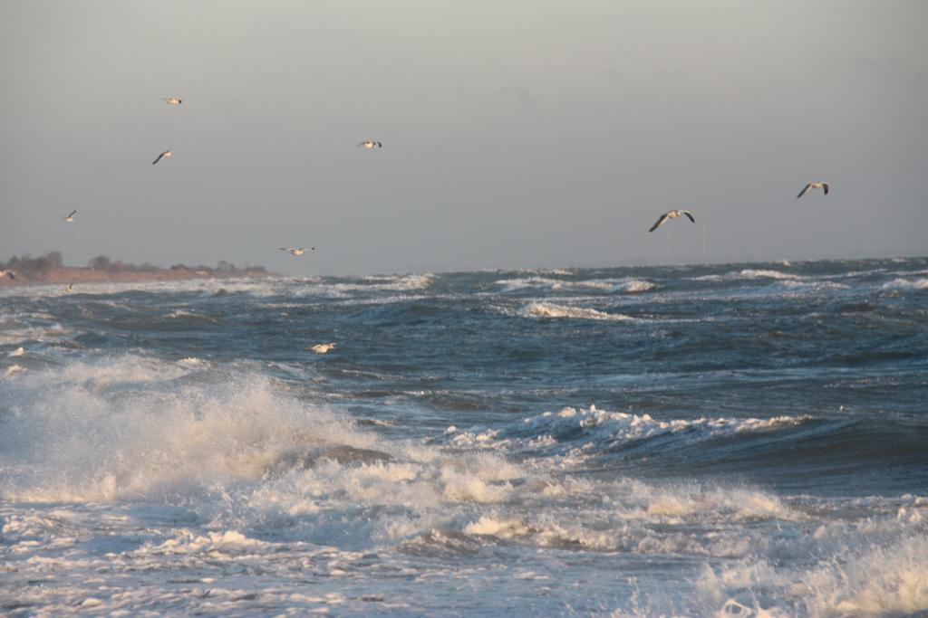 Land & Meer Hasselberg  エクステリア 写真